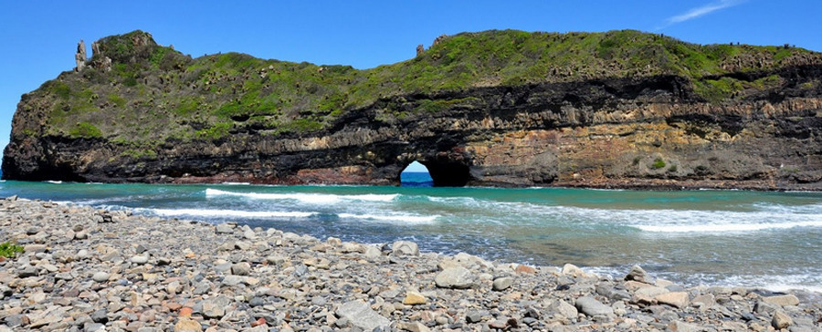 Wildcoast banner.960x0